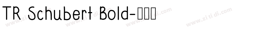 TR Schubert Bold字体转换